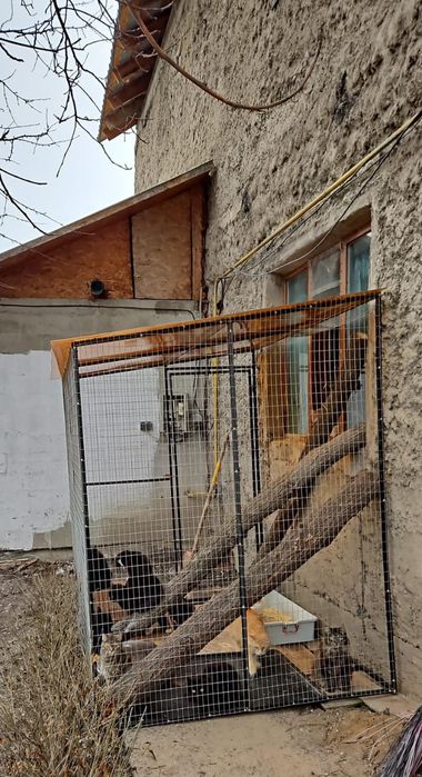 Вольер на заказ для кошек