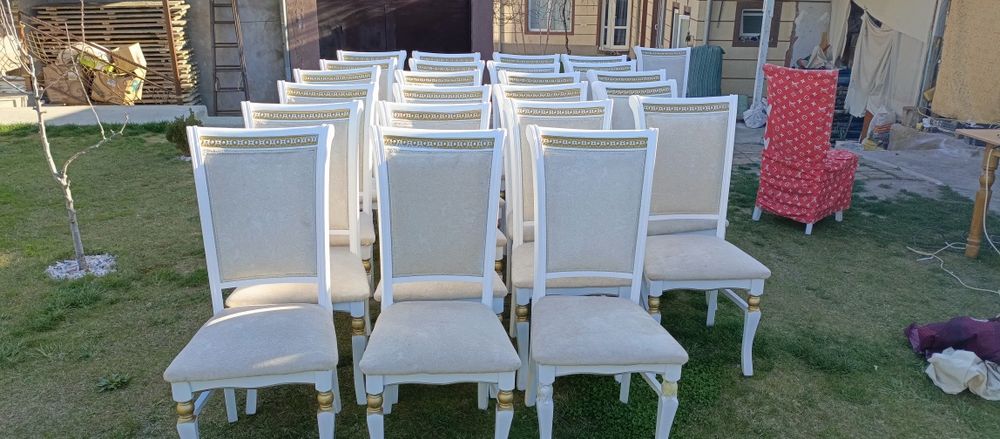 Prokat stol stul, прокат стол стул, prokat stol stul