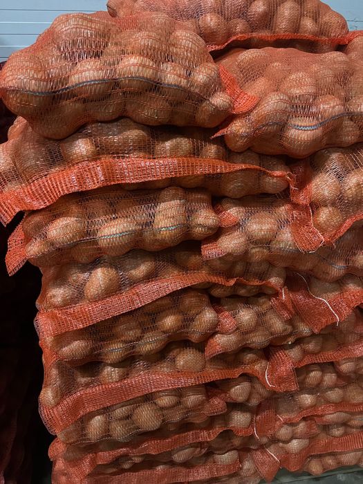 Cartof alb rosu de consum, cartofi porci