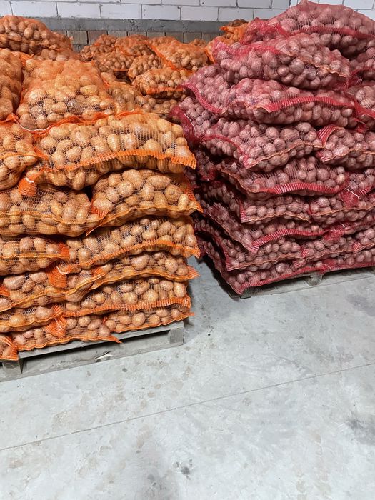 Cartofi consum in cantitate mare