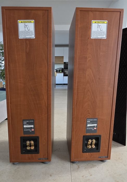 Boxe podea JBL Northridge E80 + boxe raft