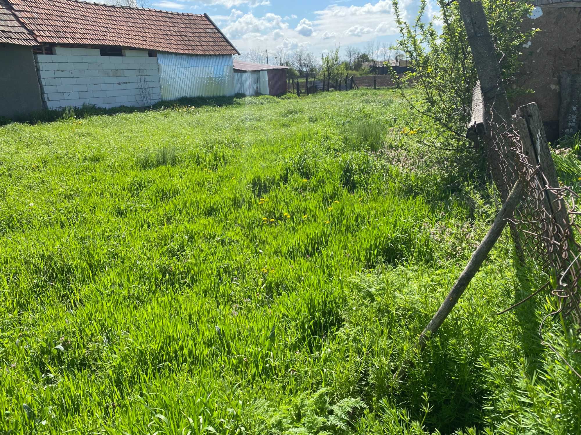 Casă de vânzare Sânnicolau Român, Bihor, 35.000 euro. NEGOCIABIL