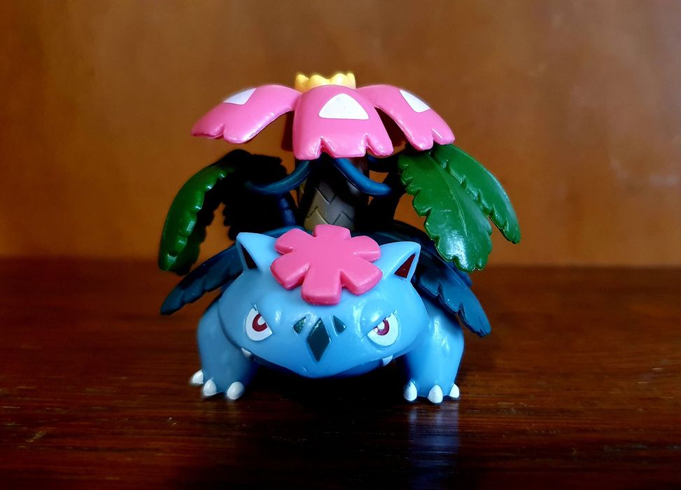 Pokemon Ivysaut & Mega Venusaur
