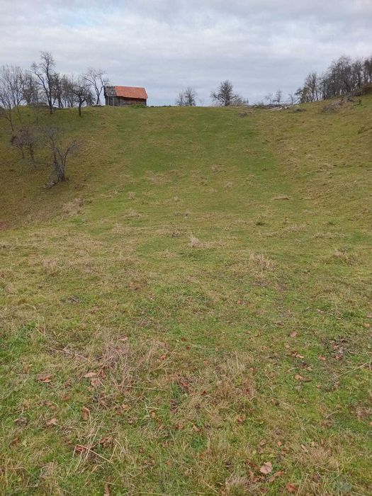 Teren de vanzare extravilan