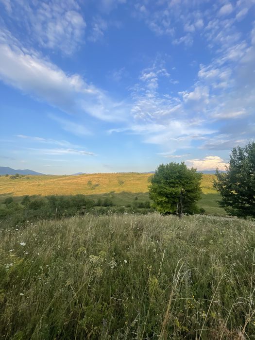 Teren de vazare in Livezile cu posibilitate de parcelare