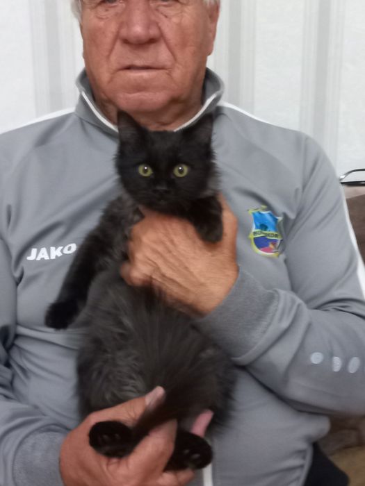 Бесплатно девочка 2,5 месяца