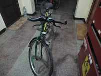 Biciclete oferta
