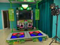Joc interactiv dans cu fise