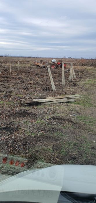 Vând spalieri de vie din beton