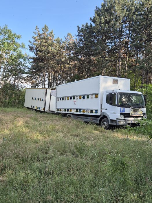 Remorca/ pavilion apicol