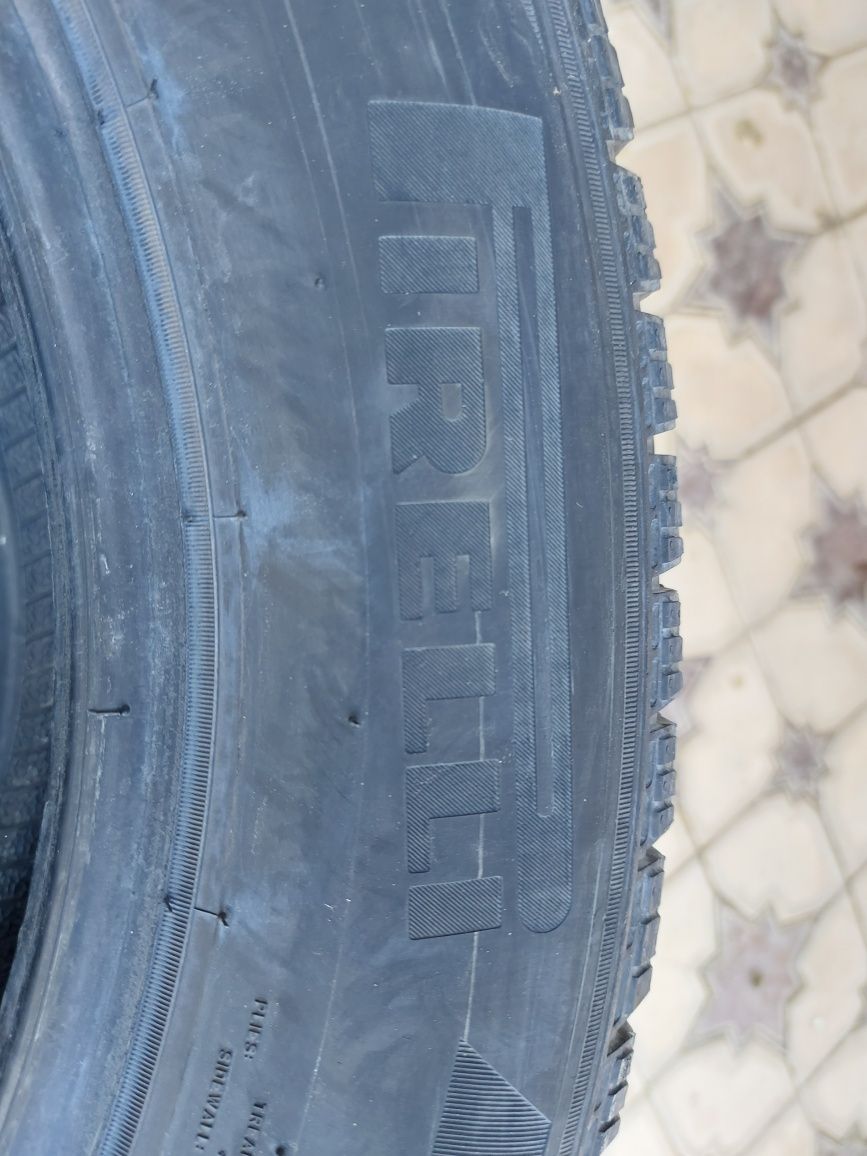 Зимние шины Pirelli