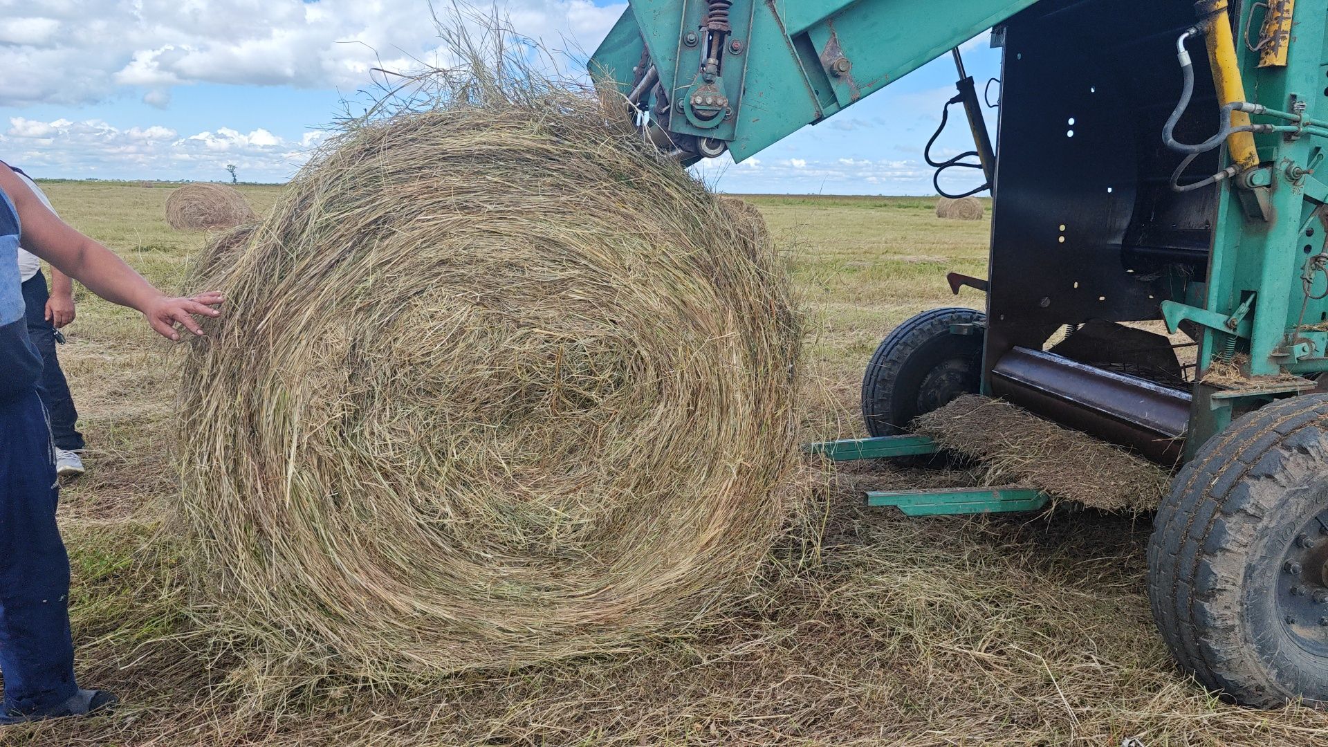 Продам Сено луговое !
