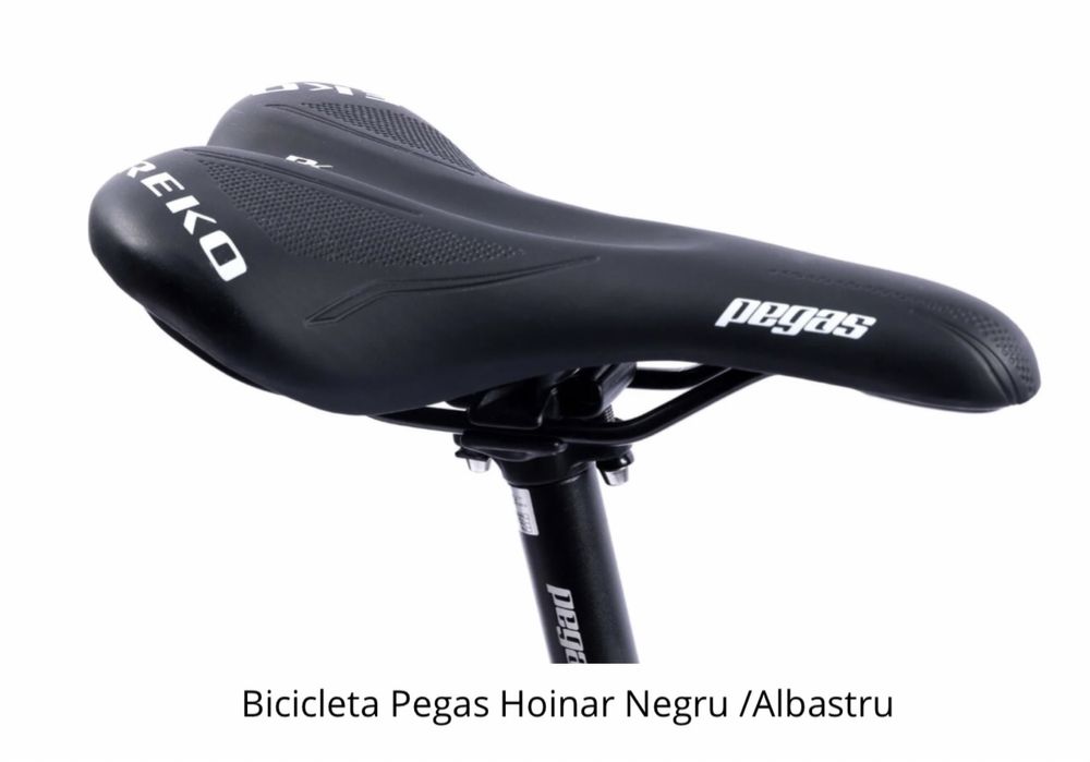 Bicicleta Pegas Hoinar Negru /Albastru