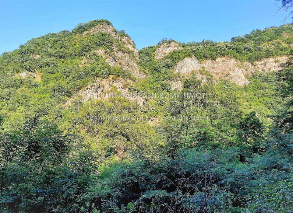 Продава се Парцел в Асеновград - 2555 кв.м за 100 €/кв.м - Снимка #4