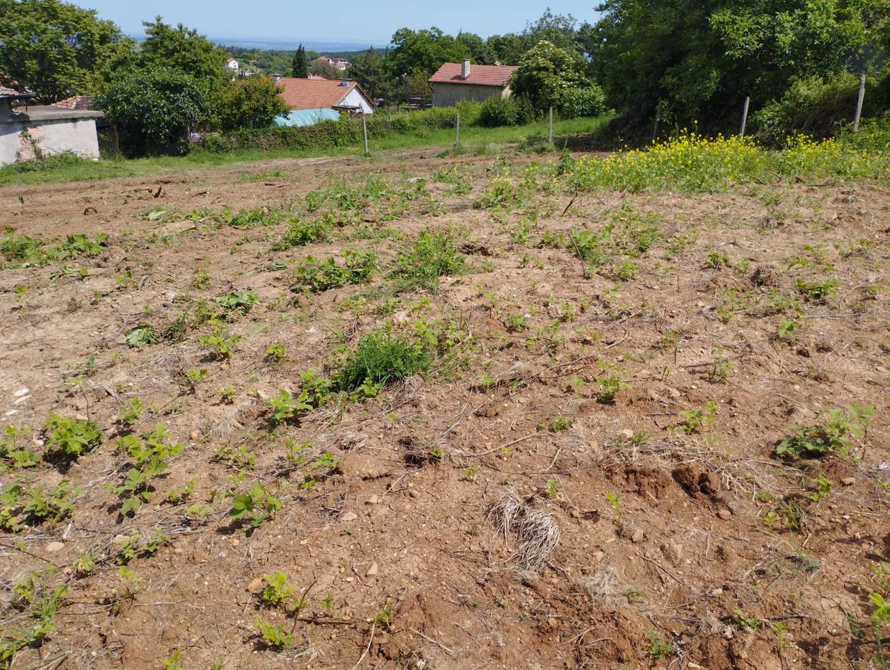 Продава се Парцел в с. Малка Верея, Област Стара Загора - 1400 кв.м за 45 €/кв.м - Снимка #10