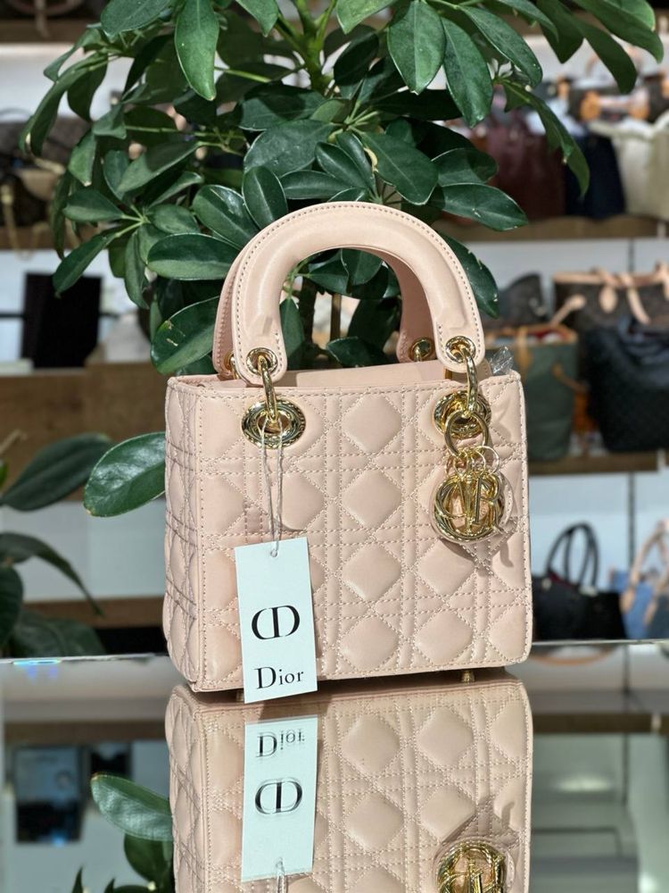 Geanta Dior Noua !!! Dimensiuni 18/16 !!!