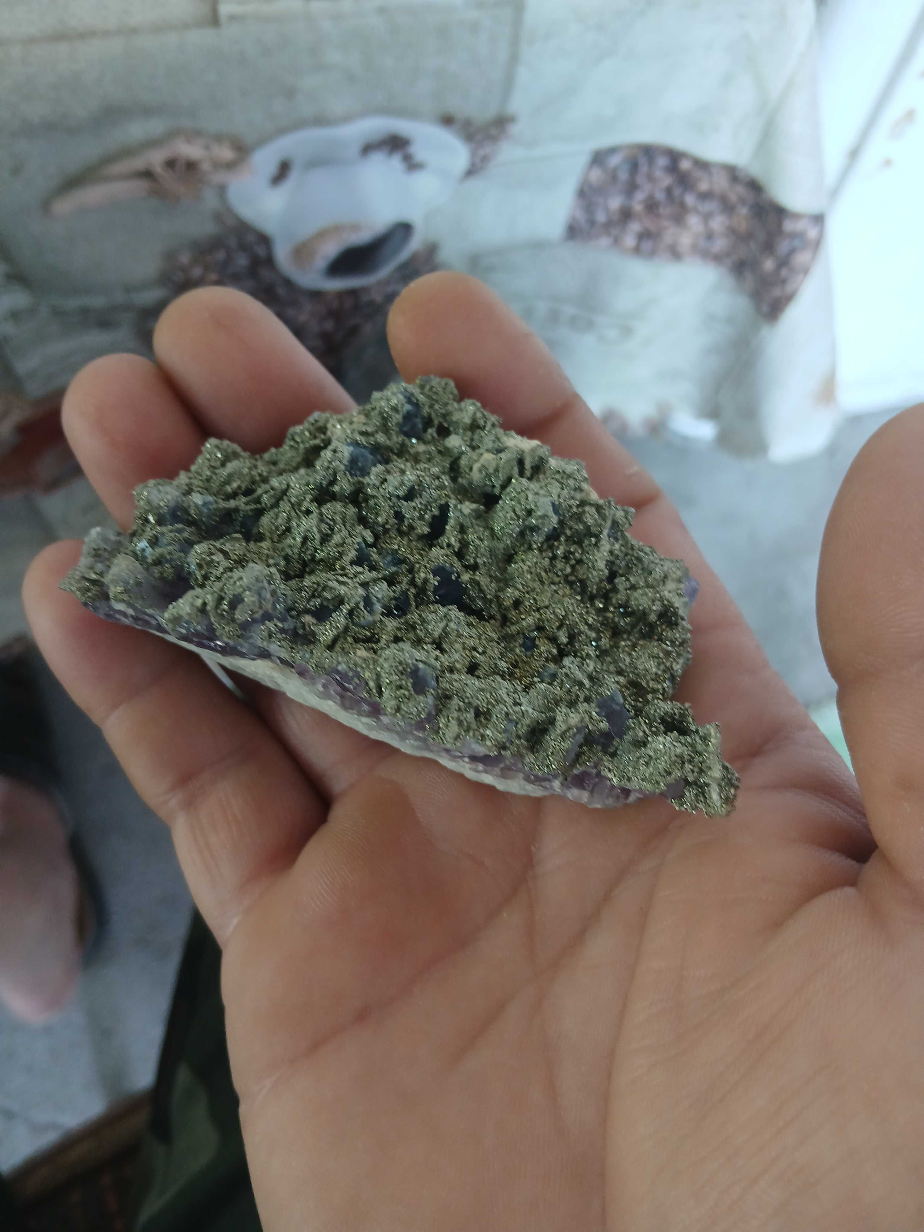 Лот от 6 друзи аметист,със пирит от България.