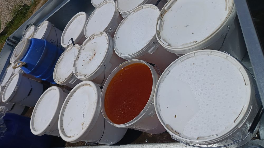 Miere de Albine Polifloră,