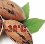 Nuc Pecan AVALON
