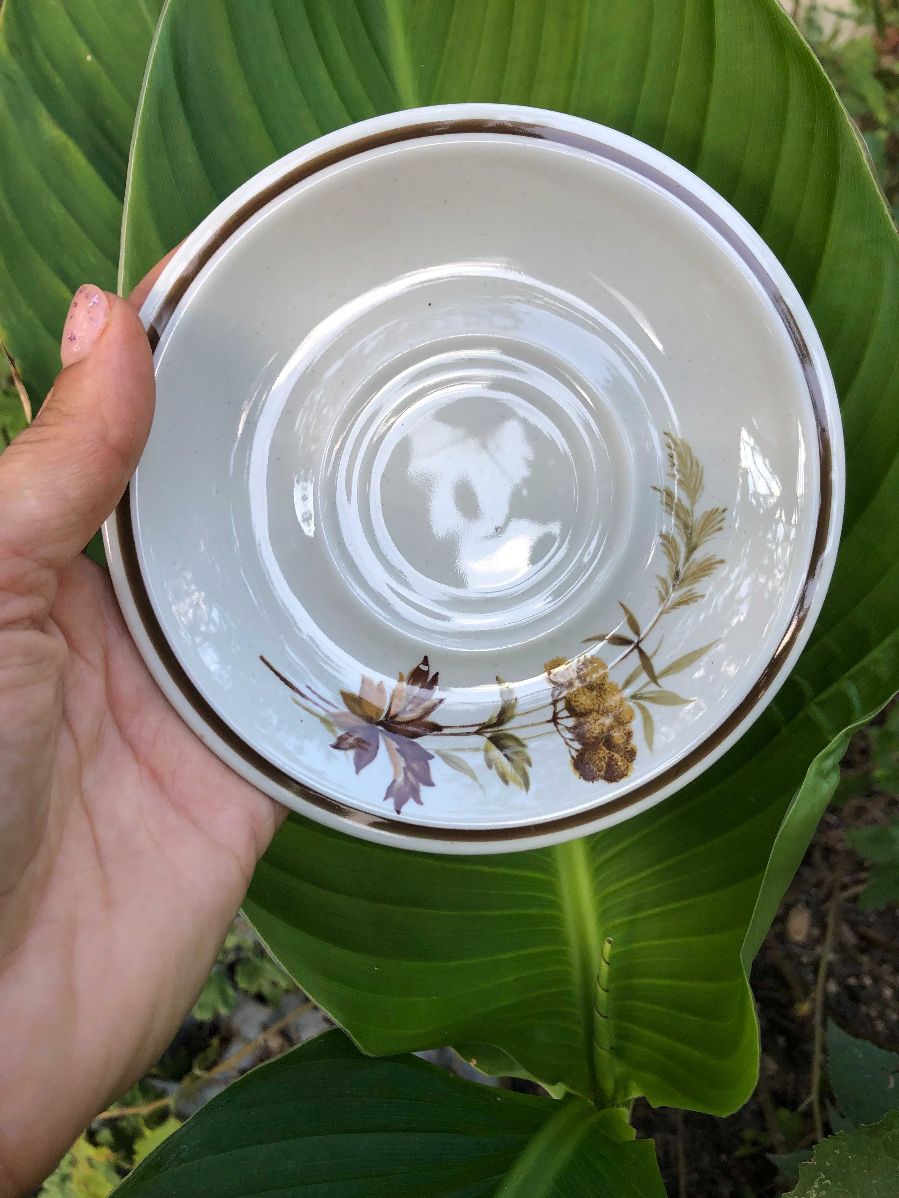 Winterling Bavaria Botanica
