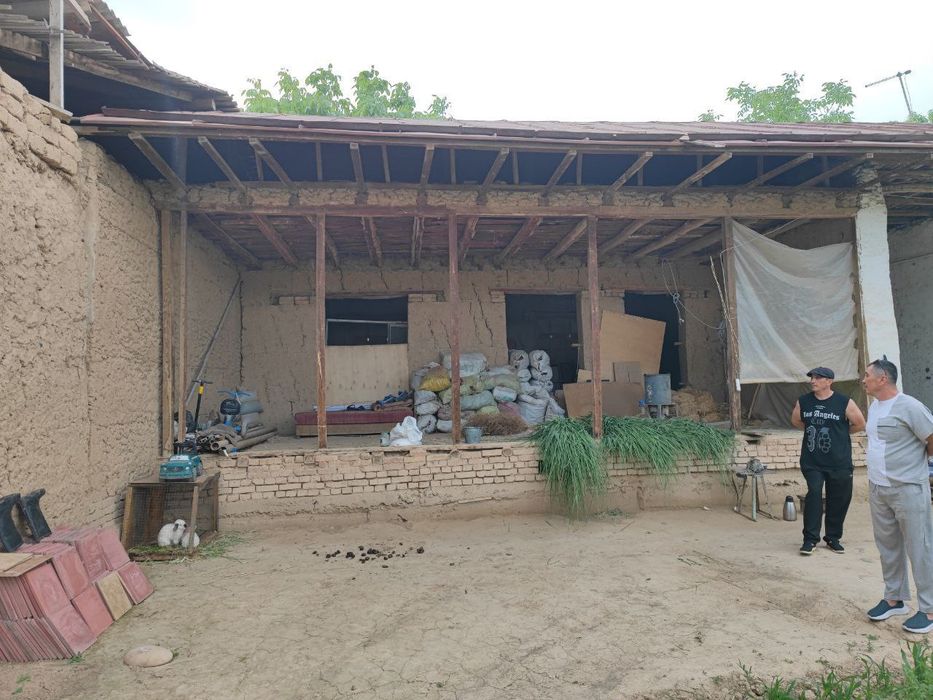 Срочна срочна сотаман Нарх келишамиз. Узимизники