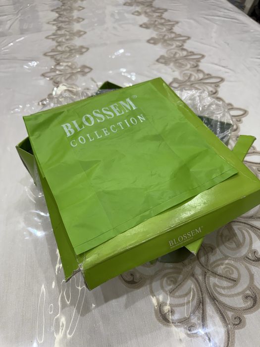 Сапошка Куз ва Бахор ги сезон