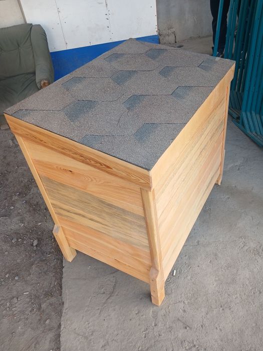 It yoki mushuk uchun uy