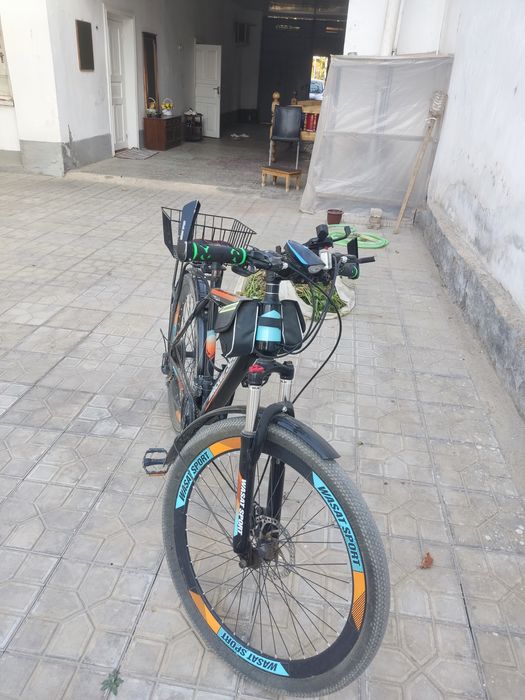 Velasaped velik skarasnoy