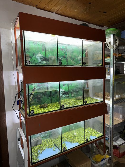 Стелаж с аквариуми