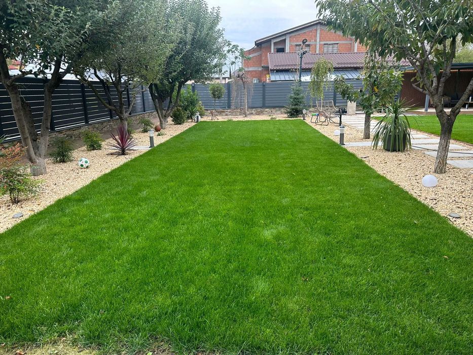 Îngrijire gazon completă – Fertilizare, tundere și irigare