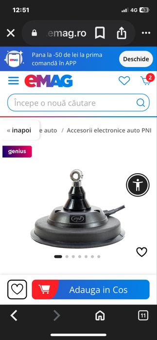 Floarea soarelui porumb boabe