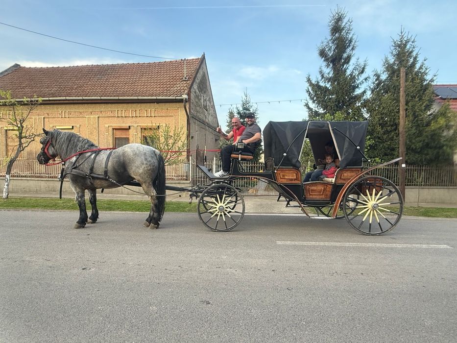 Iapa sura de 5 ani
