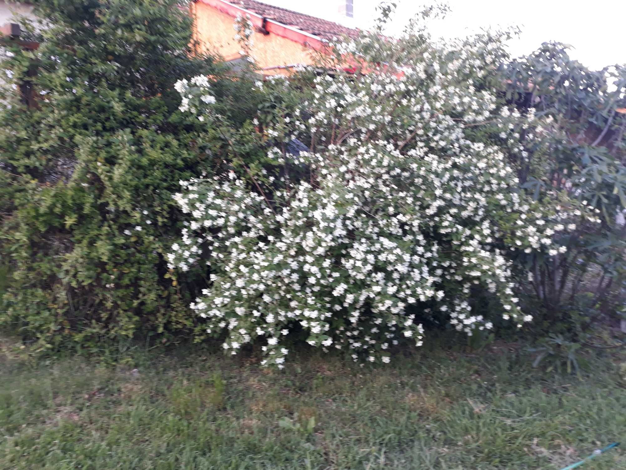 Спокойна ваканция в къща под наем в Северозапада