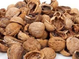 Coaja de nuca, combustibil pentru sisteme de incalzire