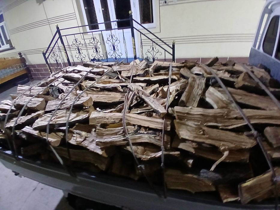 Shaftoli utin sotiladi