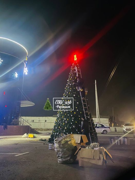 Кракссные уличные ёлки /Archa