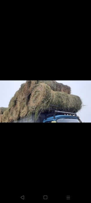 Сено люцерна жоношка урлон с доставкой урлон свежый укос жоношка урлон