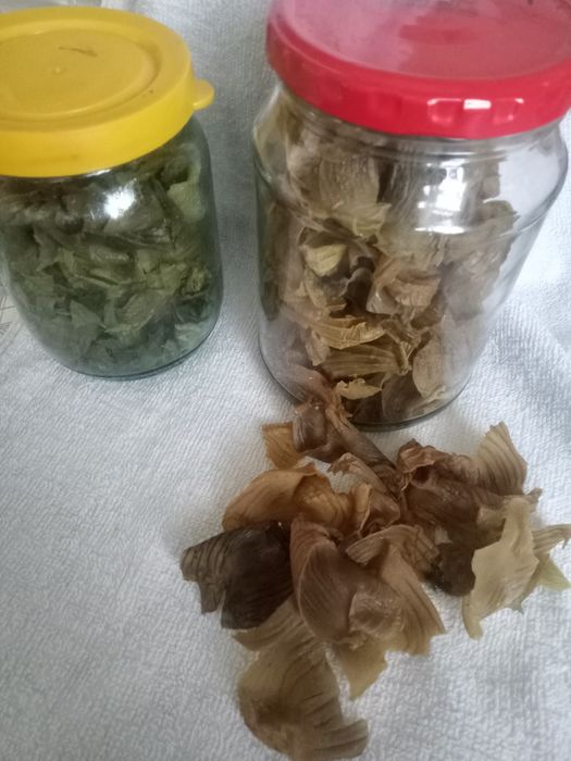 Продам кутикулу внутренняя часть куриного желудка