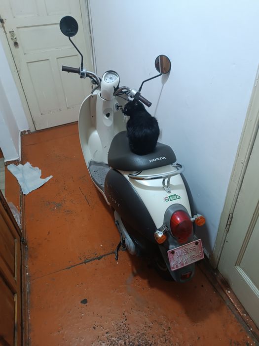 Хонда продам или обмен