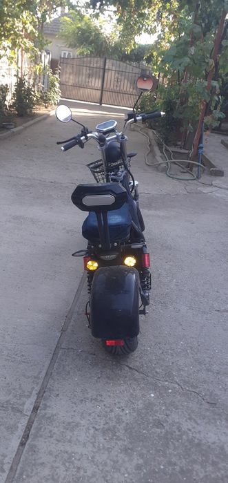 Moped!! Nou-Nout
