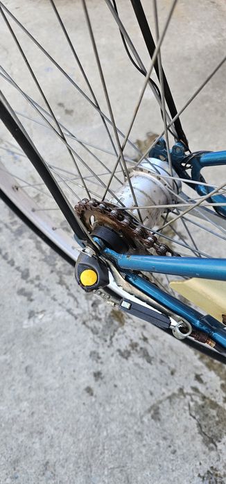 Bicicleta dama Căpriori cu viteze in butuc