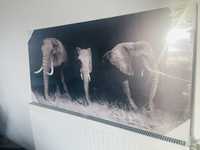 Tablou 3D elefanti