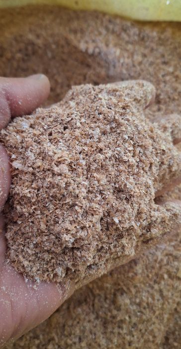 Ekalogik toza bug'doy kepagi