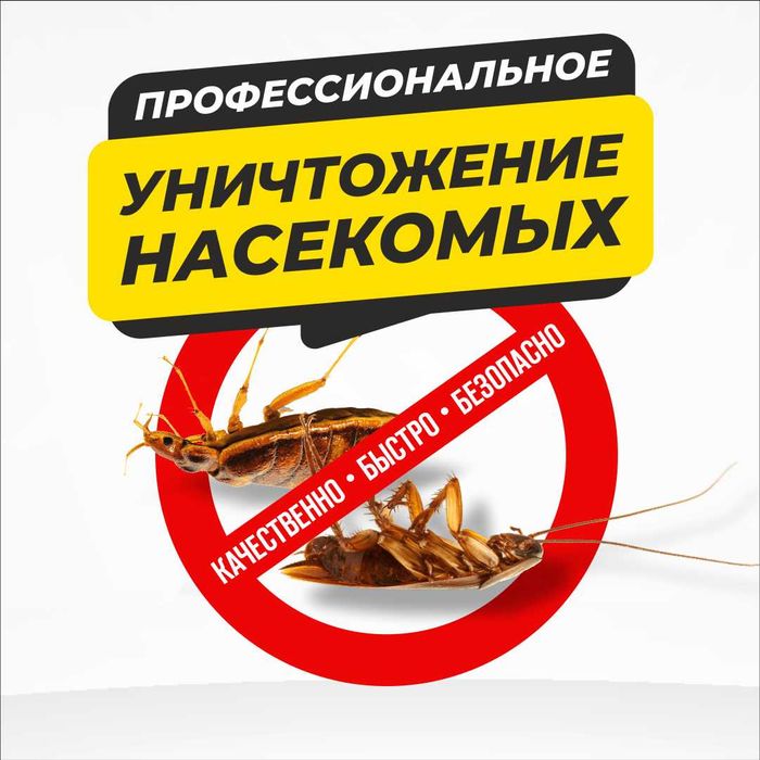 Дезинфекция Уничтожение клопов крыс клещей комаров тараканов муравьев