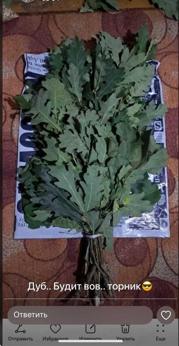 Продам Дуб  веники свежие