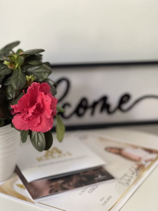 Colaborare/post de lucru