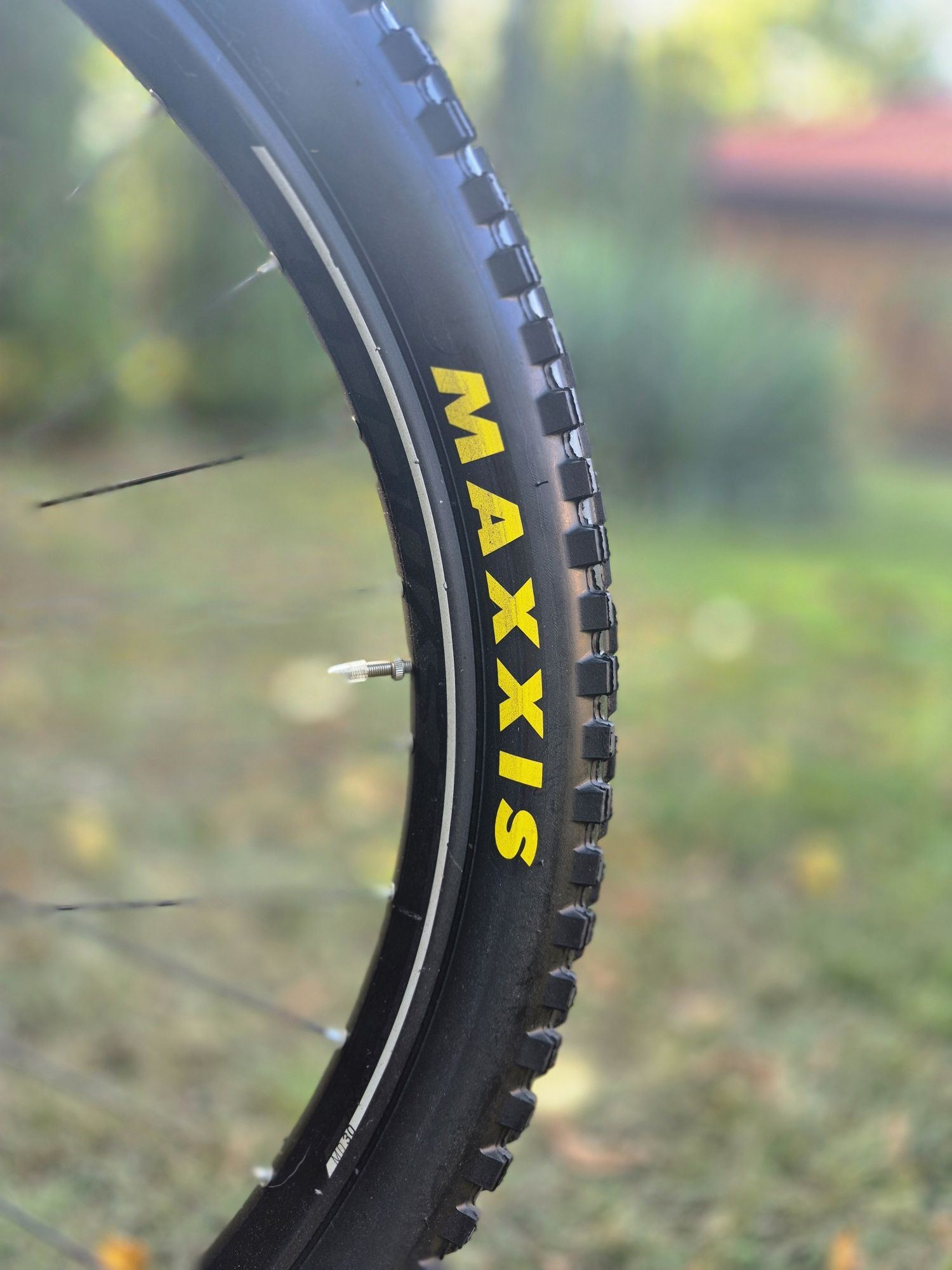 Scott GAMBLER 2023 M