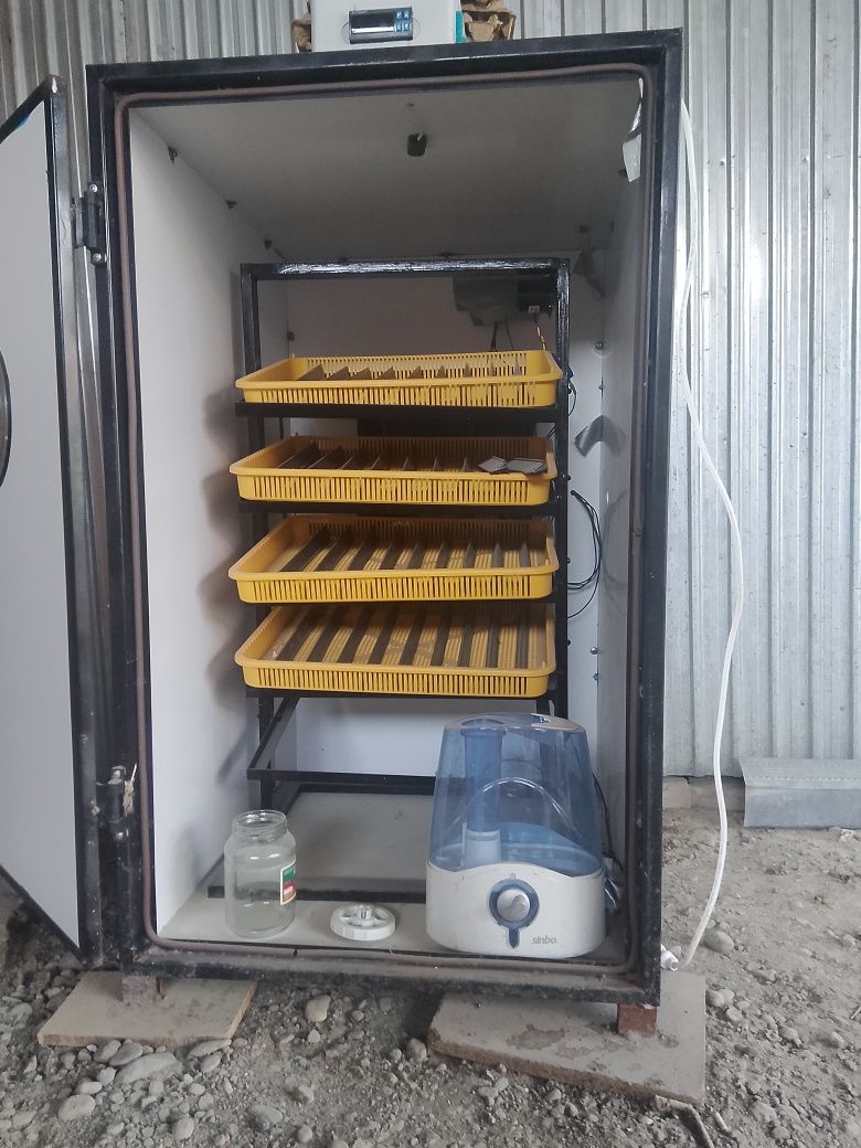 Inkubatr 500 talik