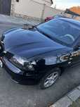 Seat ibiza.