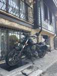 Indian Chief Dark Horse